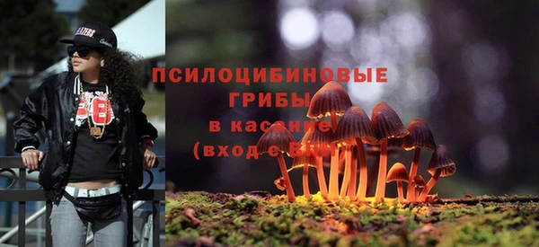 героин Алексин
