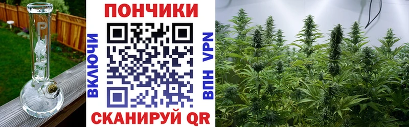 Бошки марихуана Ganja  omg ССЫЛКА  Андреаполь 